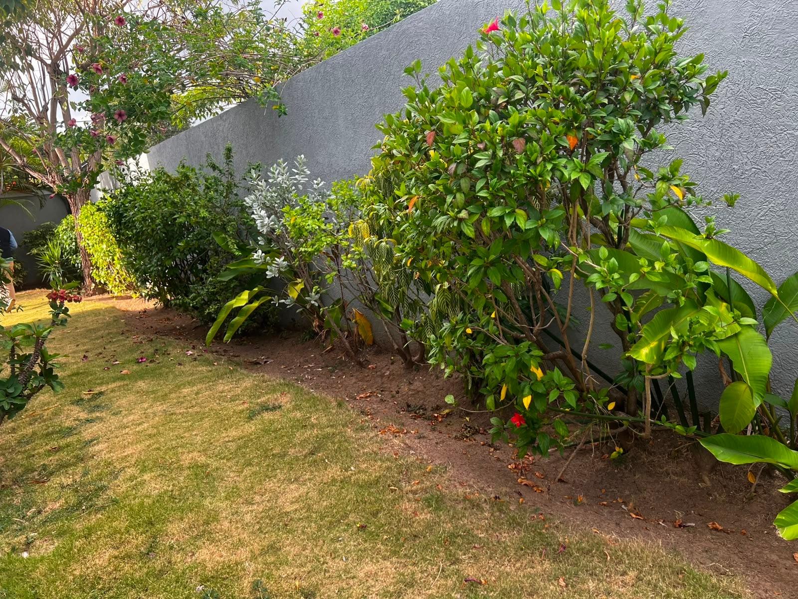 Twenty-Fifth image of 7-4-6 Salisbury Avenue in Kingston 6, St. Andrew, Jamaica - property is For Sale