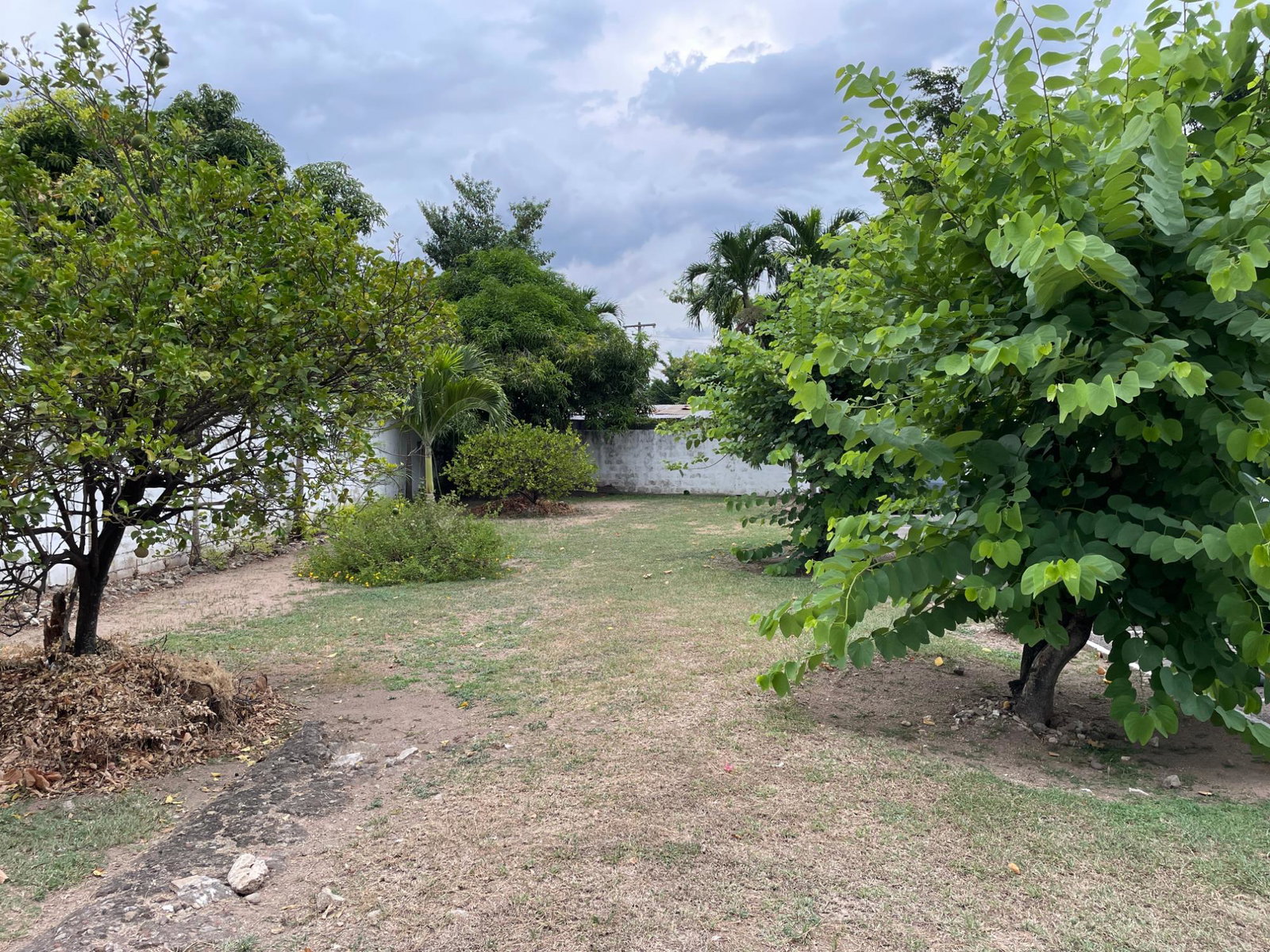Eighteenth image of 4-14 Ravinia Road in Kingston 6, St. Andrew, Jamaica - property is For Rent