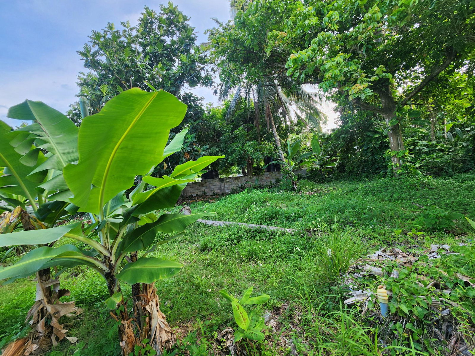 Seventh image of 124 Reid Blvd. Pompano Tower in Tower Isle, St. Mary, Jamaica - property is For Sale