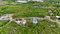 First image of 41 Sylvester Dr, Old Harbour in Old Harbour, St. Catherine, Jamaica - property is For Sale