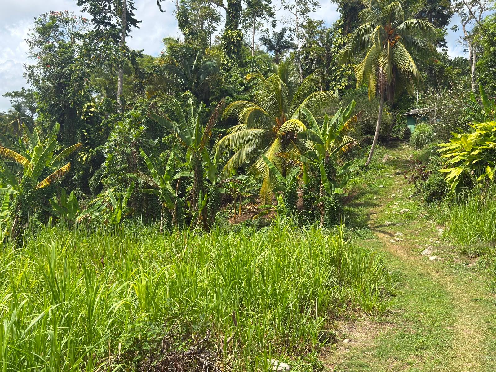 First image of Pembroke Hall And Hernon in Pembroke Hall, St. Mary, Jamaica - property is For Sale
