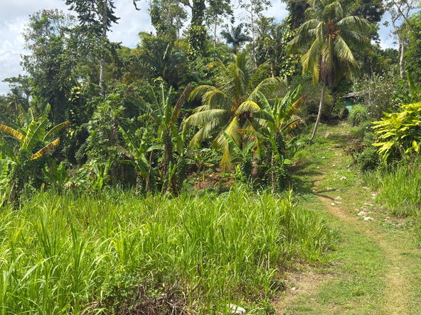 First image of Pembroke Hall And Hernon in Pembroke Hall, St. Mary, Jamaica - property is For Sale