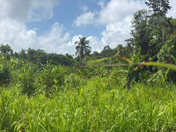 Second image of Pembroke Hall And Hernon in Pembroke Hall, St. Mary, Jamaica - property is For Sale