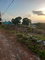 First image of Heathfield Rosehall, st Elizabeth in Junction, St. Elizabeth, Jamaica - property is For Sale