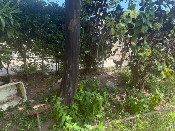 Fourth image of 6 Milford Road in Kingston 2, Kingston, Jamaica - property is For Sale