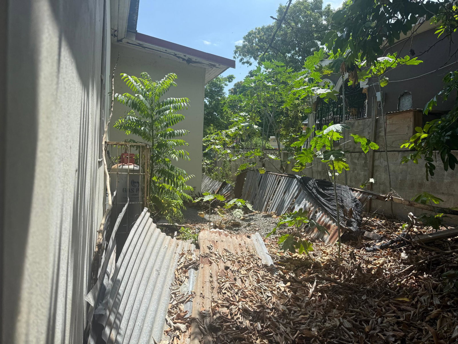 Sixth image of 6 Milford Road in Kingston 2, Kingston, Jamaica - property is For Sale