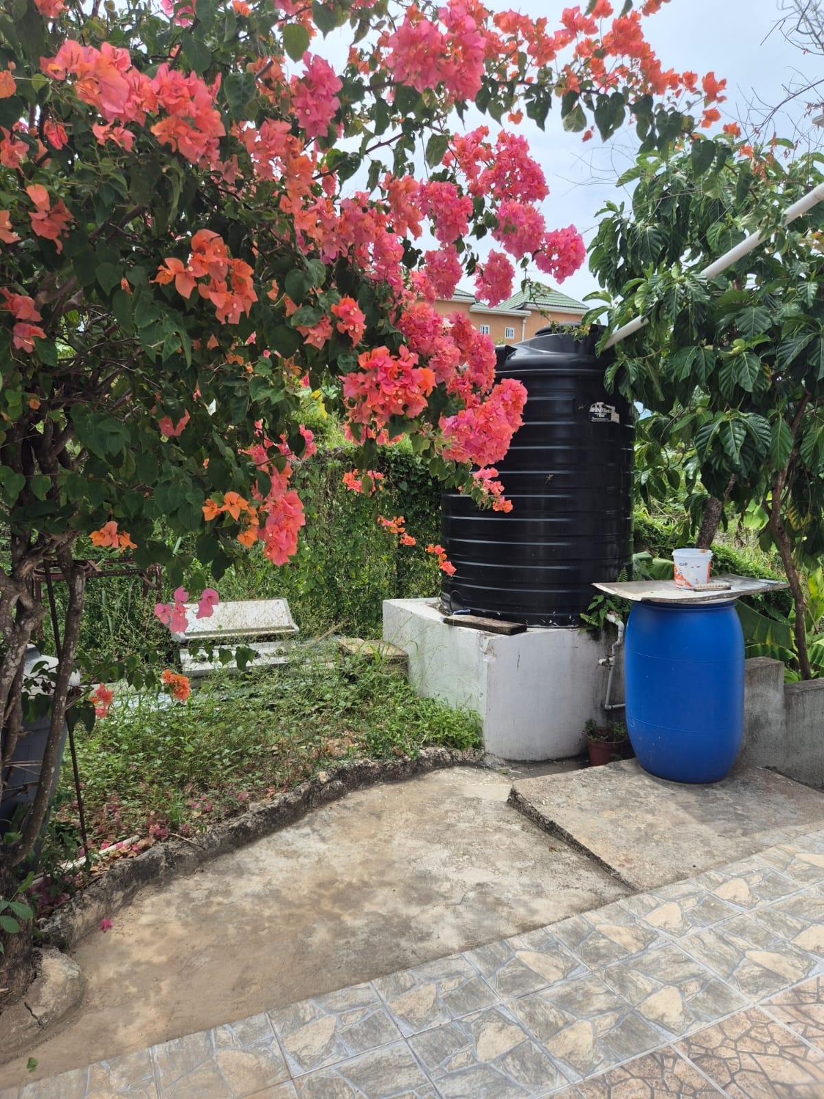 Ninth image of Lot 1 Stanmore Estate, Ocho Rio in Ocho Rios, St. Ann, Jamaica - property is For Sale