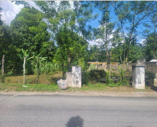 Fourth image of Belvedere Pen in Belvedere, Hanover, Jamaica - property is For Sale
