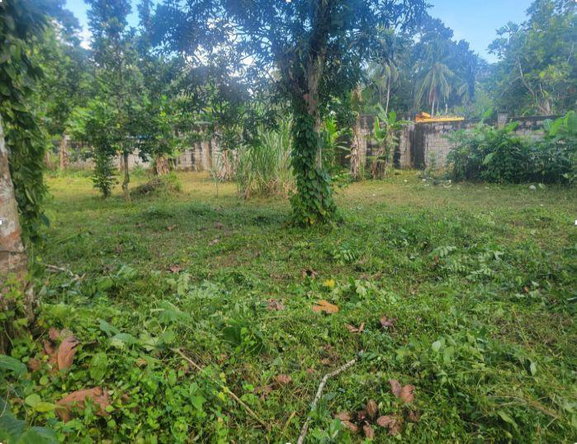 Fifth image of Belvedere Pen in Belvedere, Hanover, Jamaica - property is For Sale