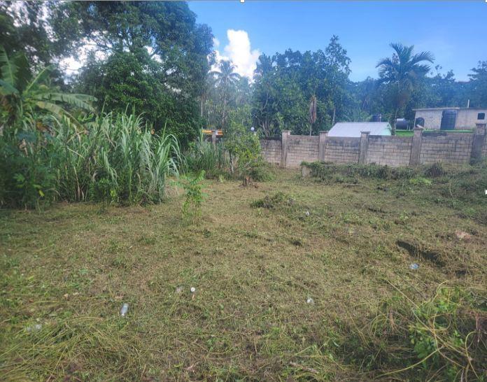 Sixth image of Belvedere Pen in Belvedere, Hanover, Jamaica - property is For Sale