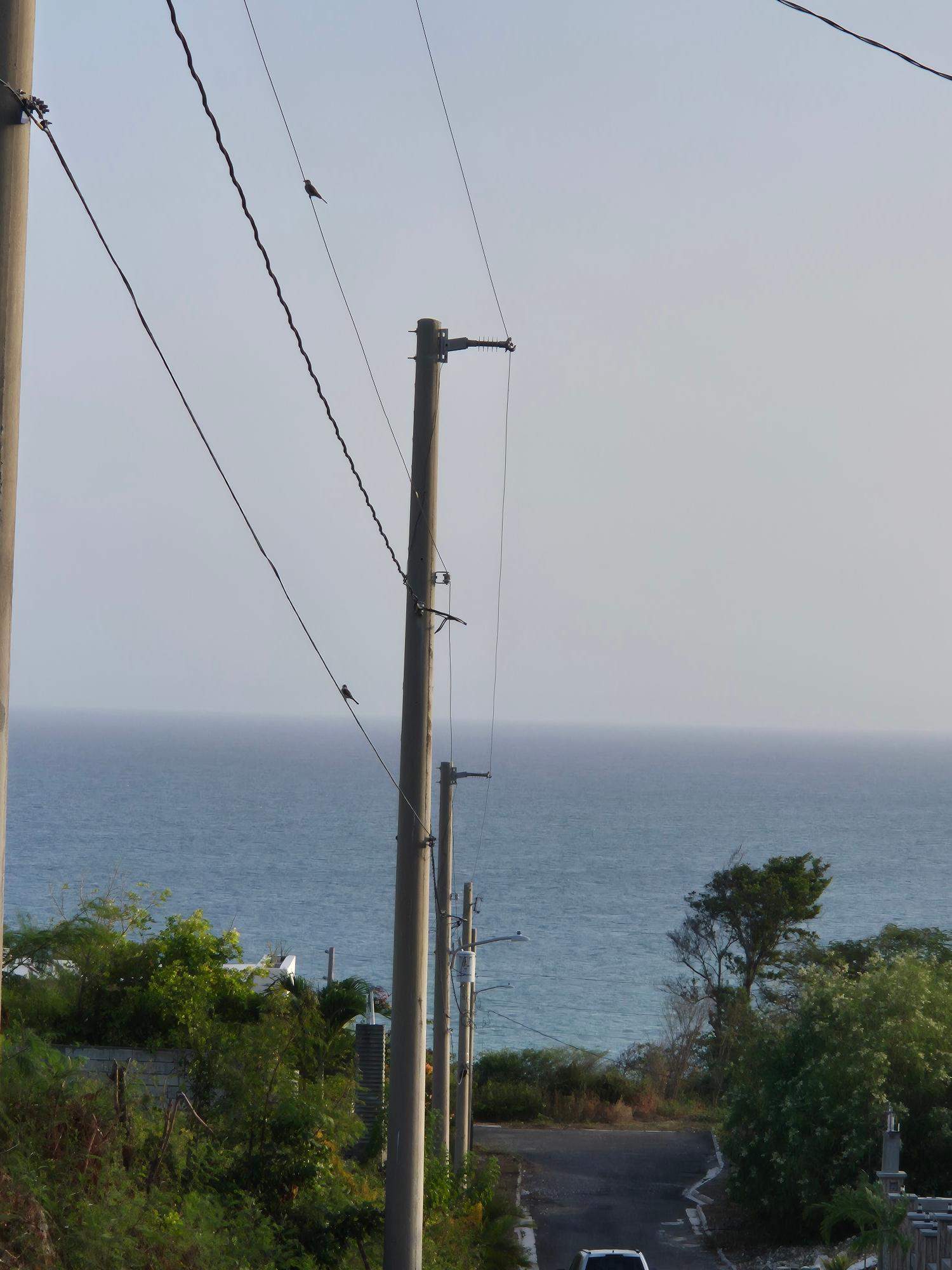 First image of 32- Creighton Hall at Botany in Yallahs, St. Thomas, Jamaica - property is For Sale