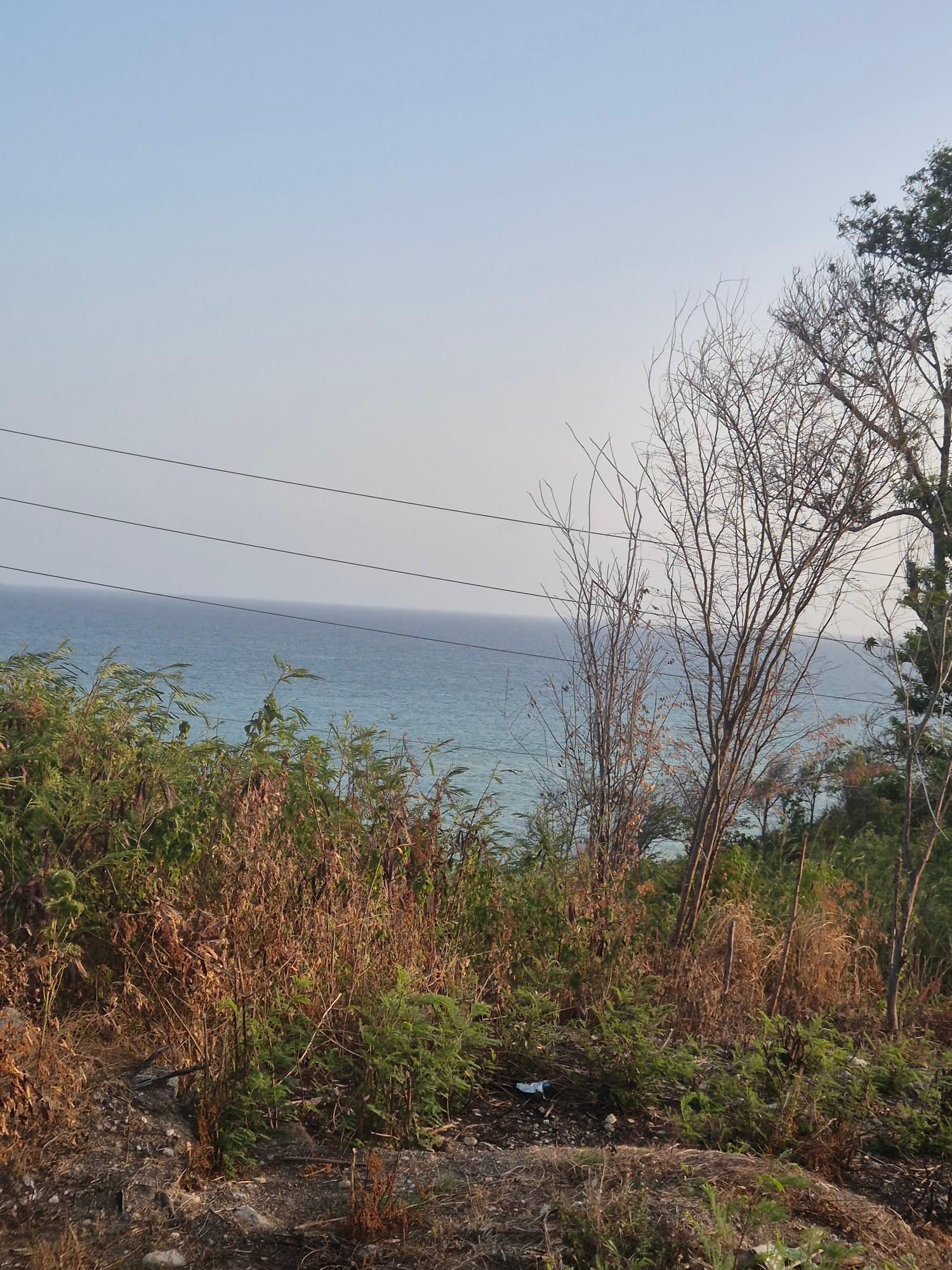 Eleventh image of 32- Creighton Hall at Botany in Yallahs, St. Thomas, Jamaica - property is For Sale