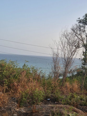 Eleventh image of 32- Creighton Hall at Botany in Yallahs, St. Thomas, Jamaica - property is For Sale
