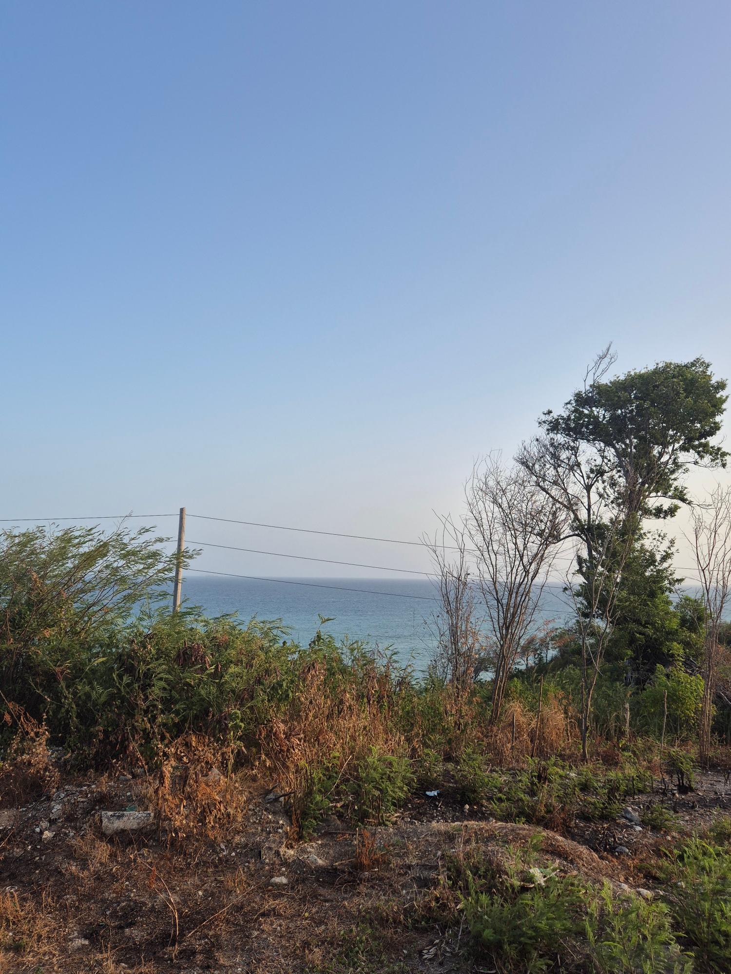 Twelfth image of 32- Creighton Hall at Botany in Yallahs, St. Thomas, Jamaica - property is For Sale