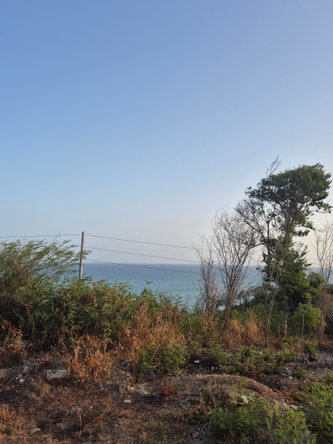 Twelfth image of 32- Creighton Hall at Botany in Yallahs, St. Thomas, Jamaica - property is For Sale