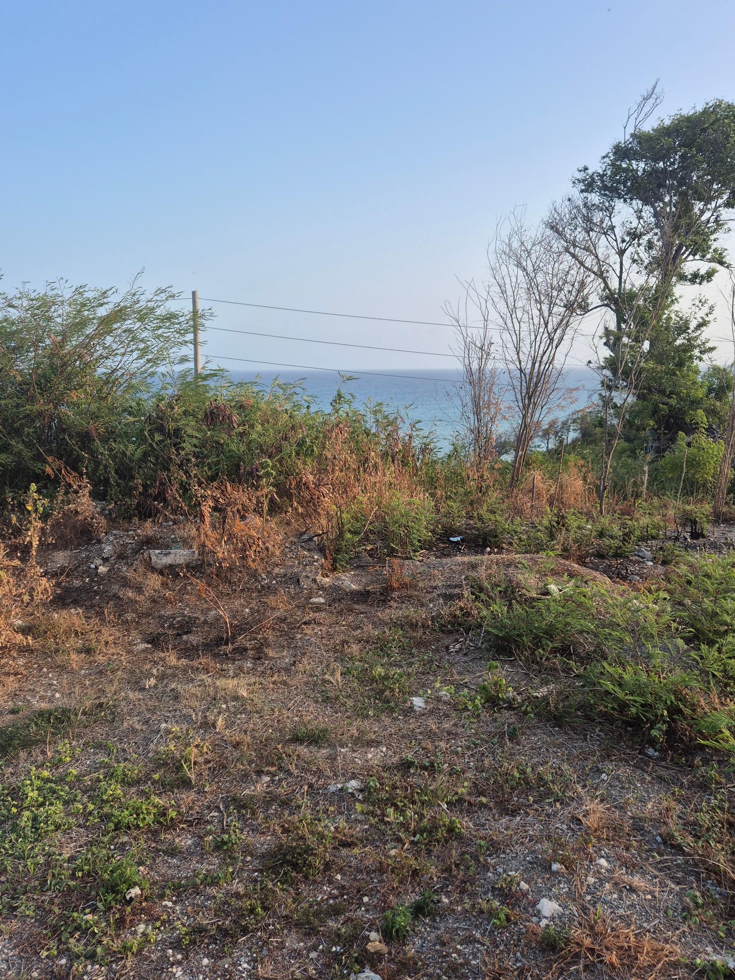 Fourteenth image of 32- Creighton Hall at Botany in Yallahs, St. Thomas, Jamaica - property is For Sale