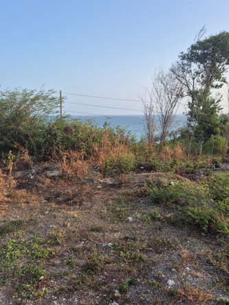 Fourteenth image of 32- Creighton Hall at Botany in Yallahs, St. Thomas, Jamaica - property is For Sale