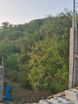Second image of 32- Creighton Hall at Botany in Yallahs, St. Thomas, Jamaica - property is For Sale