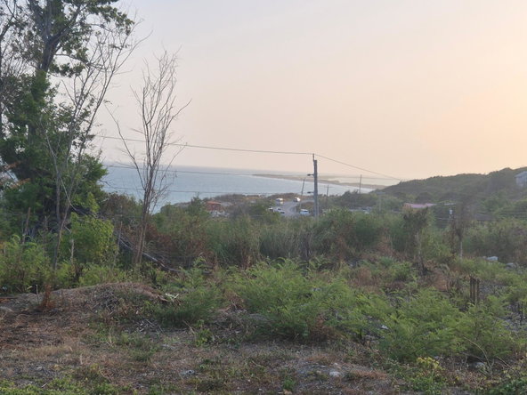 Seventh image of 32- Creighton Hall at Botany in Yallahs, St. Thomas, Jamaica - property is For Sale