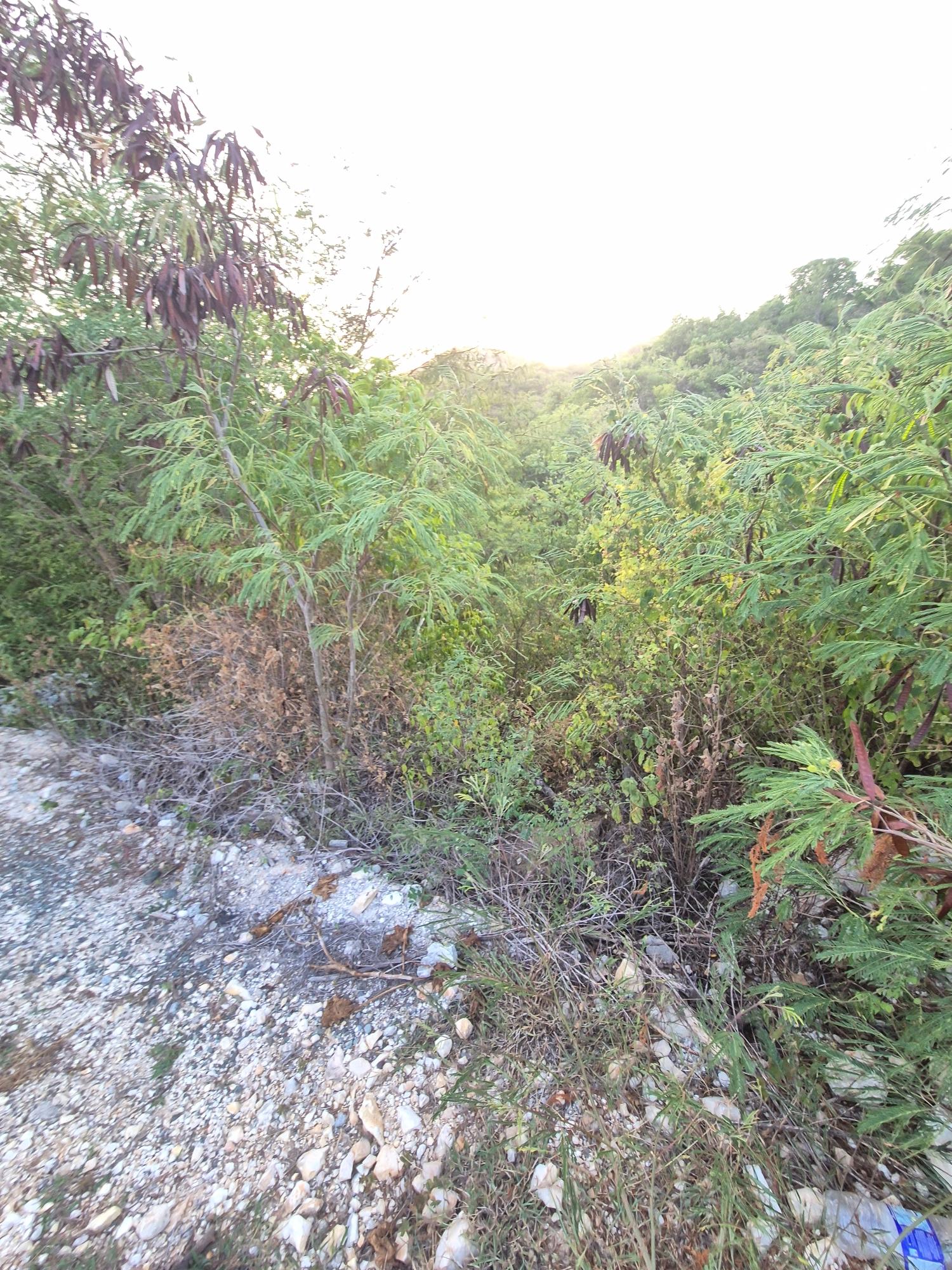 Eighth image of 32- Creighton Hall at Botany in Yallahs, St. Thomas, Jamaica - property is For Sale