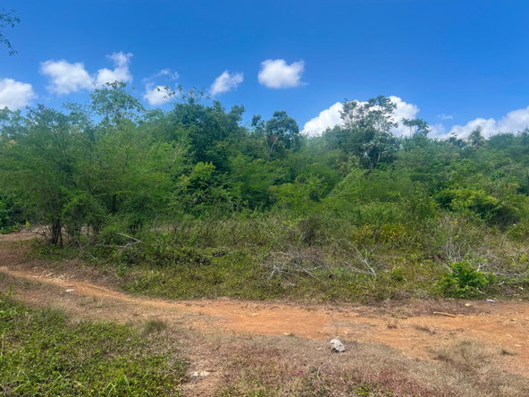 Tenth image of West Prospect Road in Bog Walk, St. Catherine, Jamaica - property is For Sale
