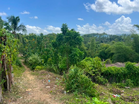 Sixth image of West Prospect Road in Bog Walk, St. Catherine, Jamaica - property is For Sale
