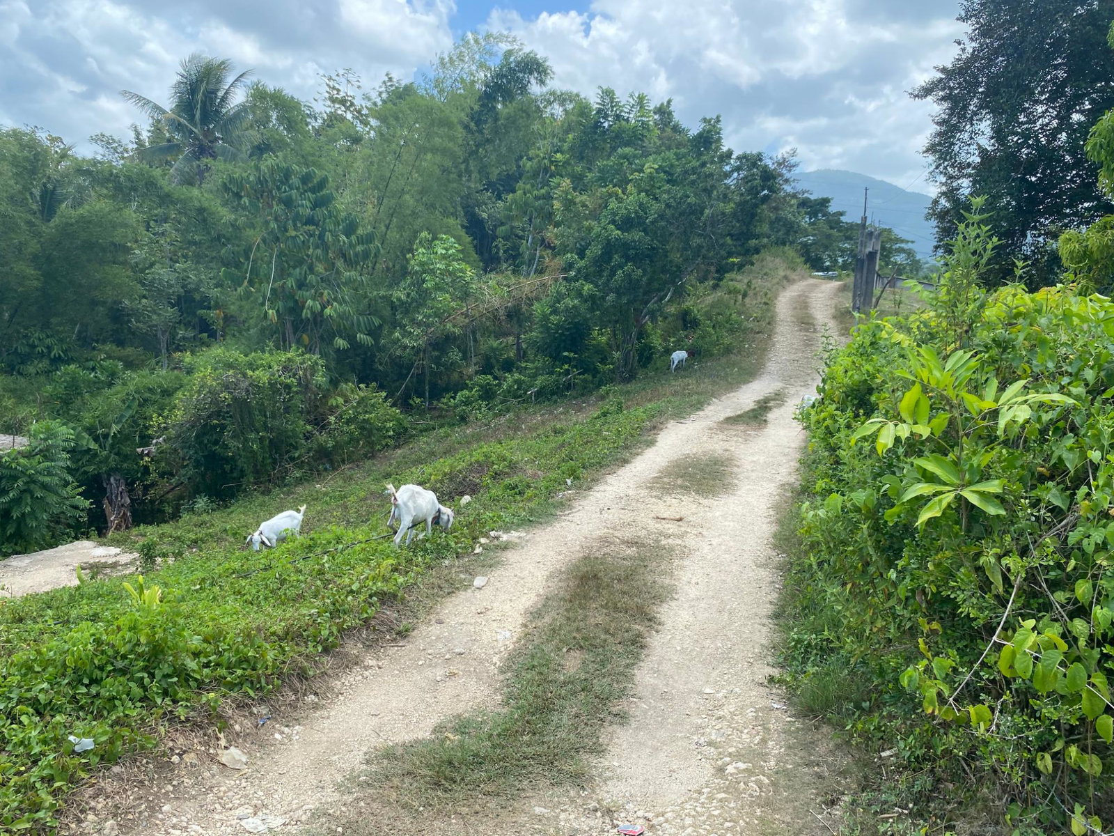 Seventh image of West Prospect Road in Bog Walk, St. Catherine, Jamaica - property is For Sale