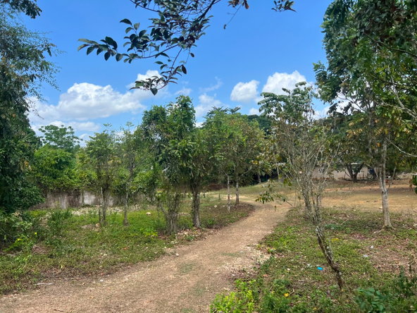 Eighth image of West Prospect Road in Bog Walk, St. Catherine, Jamaica - property is For Sale