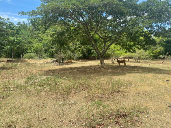 Ninth image of West Prospect Road in Bog Walk, St. Catherine, Jamaica - property is For Sale