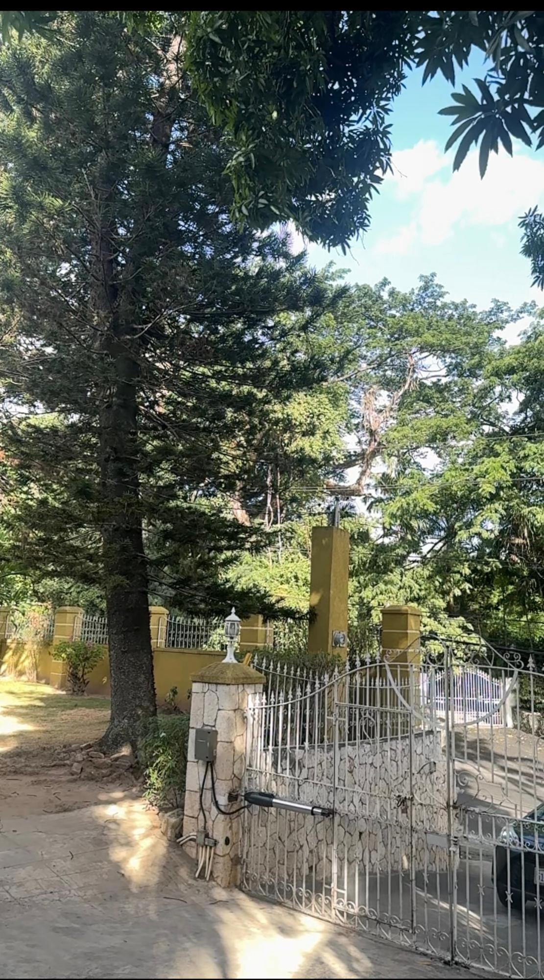 Seventh image of 1c Long Laane in Kingston 8, St. Andrew, Jamaica - property is For Sale