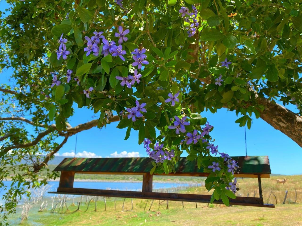 Fourth image of Old Wharf, Treasure Beach in Treasure Beach, St. Elizabeth, Jamaica - property is For Sale