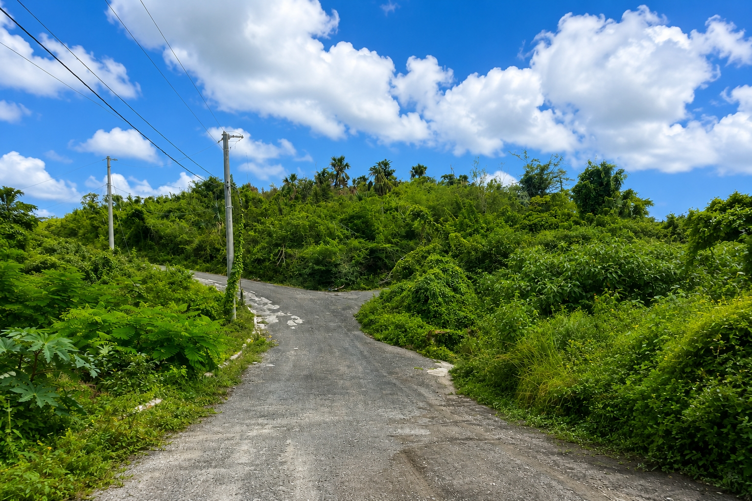 Second image of Whitehouse, Westmoreland in Culloden, Westmoreland, Jamaica - property is For Sale