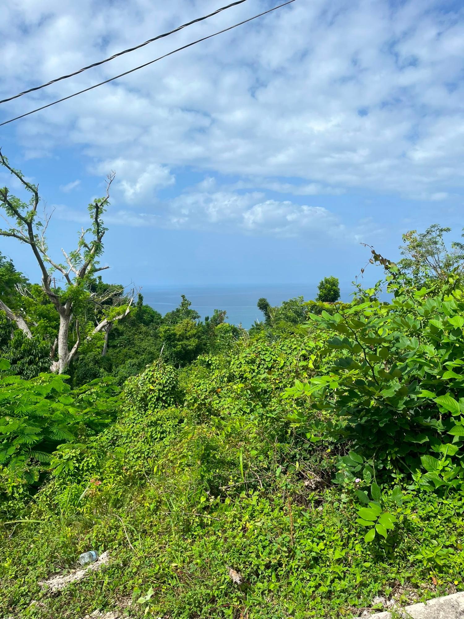 Seventh image of Whitehouse, Westmoreland in Culloden, Westmoreland, Jamaica - property is For Sale