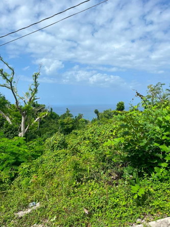 Seventh image of Whitehouse, Westmoreland in Culloden, Westmoreland, Jamaica - property is For Sale