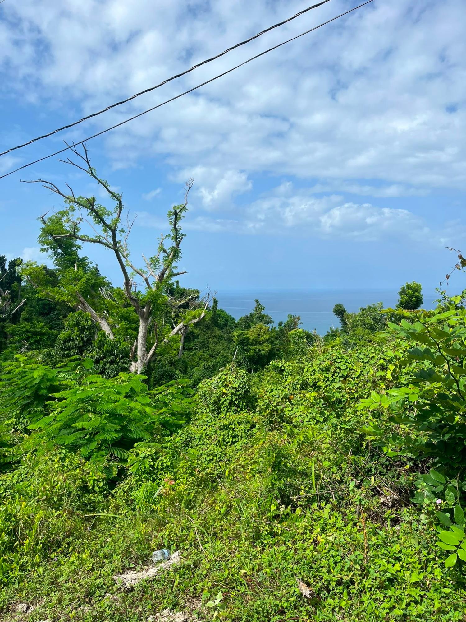 Eighth image of Whitehouse, Westmoreland in Culloden, Westmoreland, Jamaica - property is For Sale