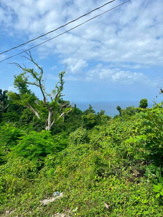 Eighth image of Whitehouse, Westmoreland in Culloden, Westmoreland, Jamaica - property is For Sale