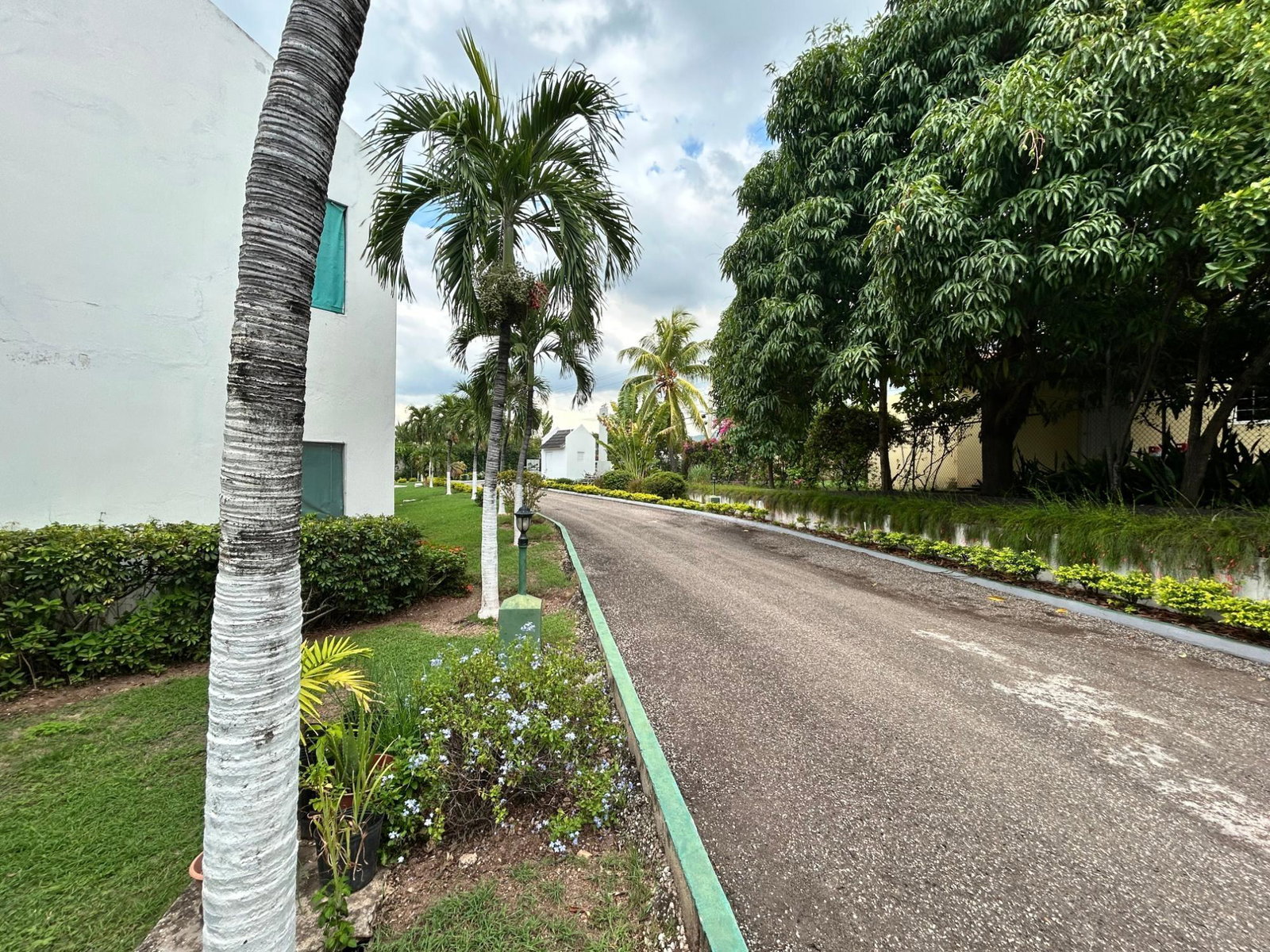 Twenty-Seventh image of 7-31a Wellington Drive in Kingston 6, St. Andrew, Jamaica - property is For Rent