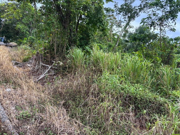 First image of 37 Forest Glade in Ocean Ridge, St. Mary, Jamaica - property is For Sale