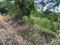 First image of 37 Forest Glade in Ocean Ridge, St. Mary, Jamaica - property is For Sale
