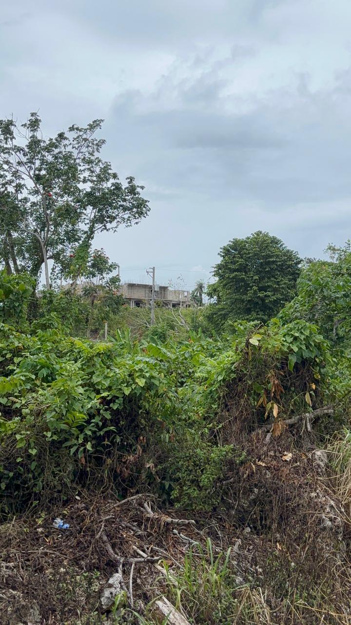 Third image of 37 Forest Glade in Ocean Ridge, St. Mary, Jamaica - property is For Sale