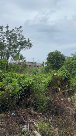 Third image of 37 Forest Glade in Ocean Ridge, St. Mary, Jamaica - property is For Sale