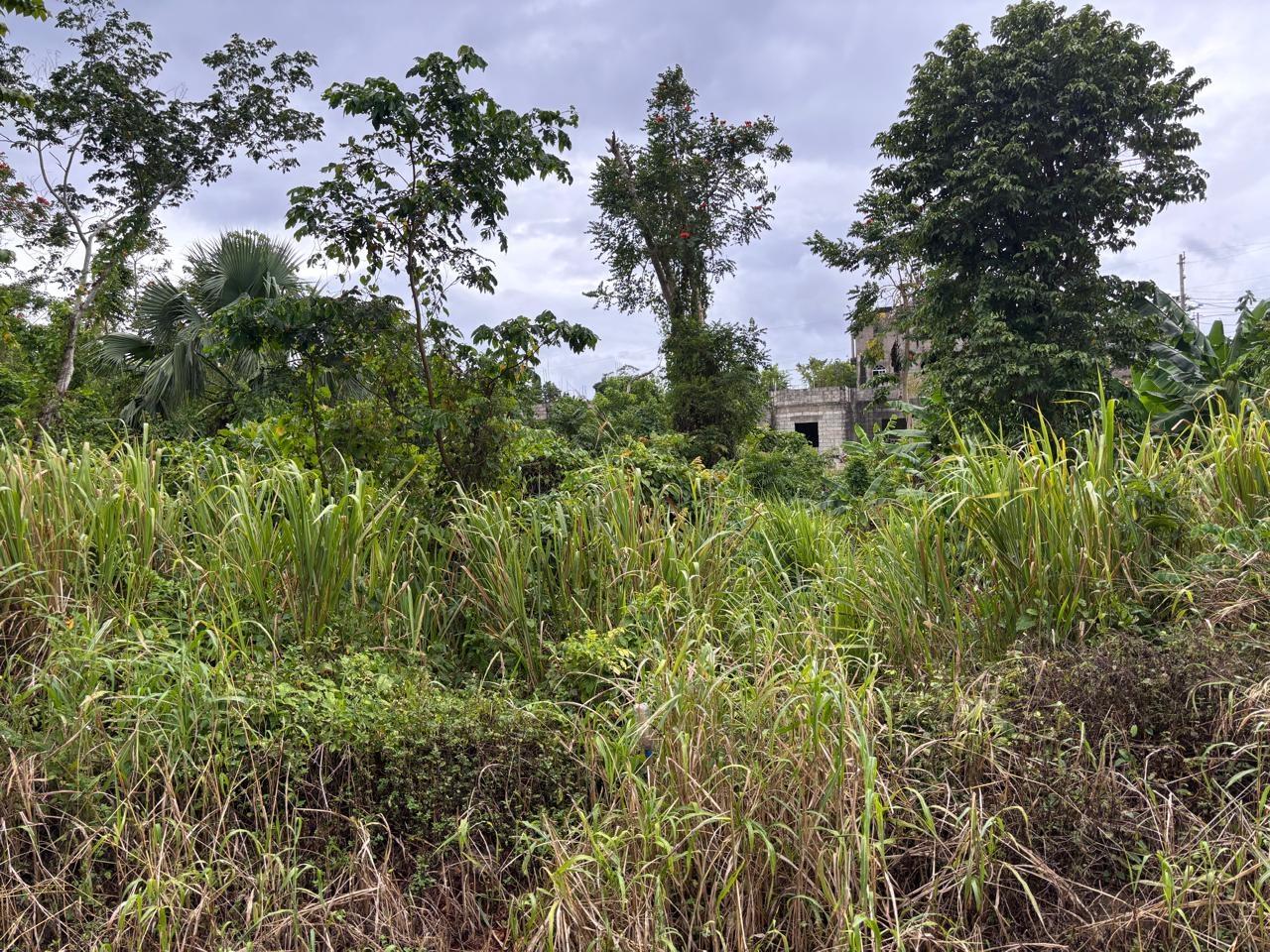 Fourth image of 37 Forest Glade in Ocean Ridge, St. Mary, Jamaica - property is For Sale
