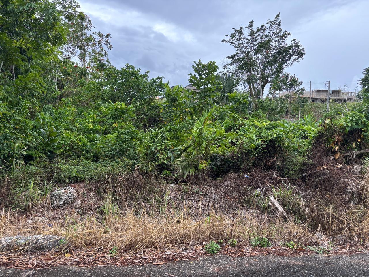 Fifth image of 37 Forest Glade in Ocean Ridge, St. Mary, Jamaica - property is For Sale