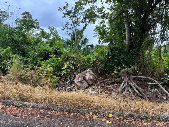 Sixth image of 37 Forest Glade in Ocean Ridge, St. Mary, Jamaica - property is For Sale