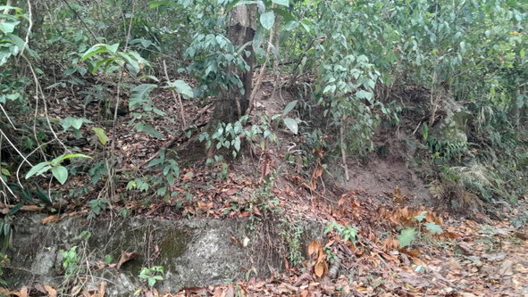 First image of Lot 5 Hopewell, Red Ground, s in Irish Town P.A., St. Andrew, Jamaica - property is For Sale
