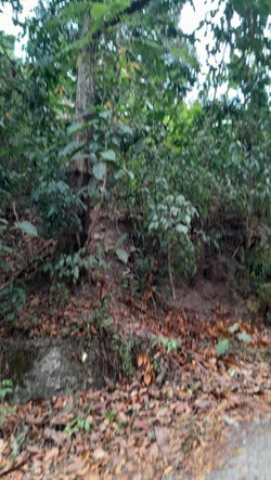 Second image of Lot 5 Hopewell, Red Ground, s in Irish Town P.A., St. Andrew, Jamaica - property is For Sale