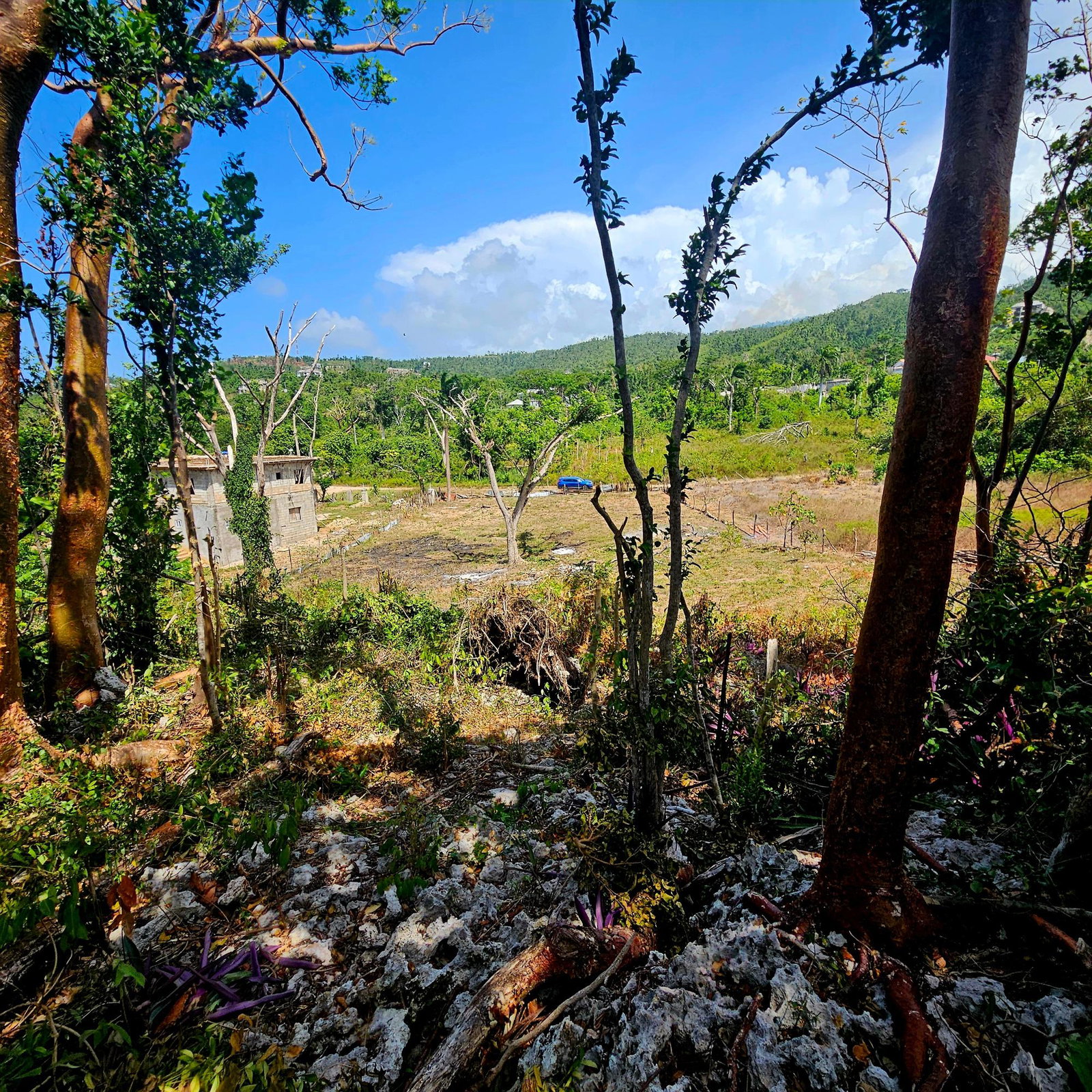 First image of Lot-33 Cardiff Hall Plantation in Runaway Bay, St. Ann, Jamaica - property is For Sale