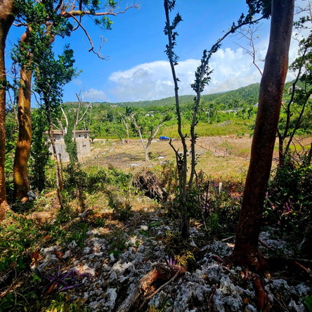 First image of Lot-33 Cardiff Hall Plantation in Runaway Bay, St. Ann, Jamaica - property is For Sale