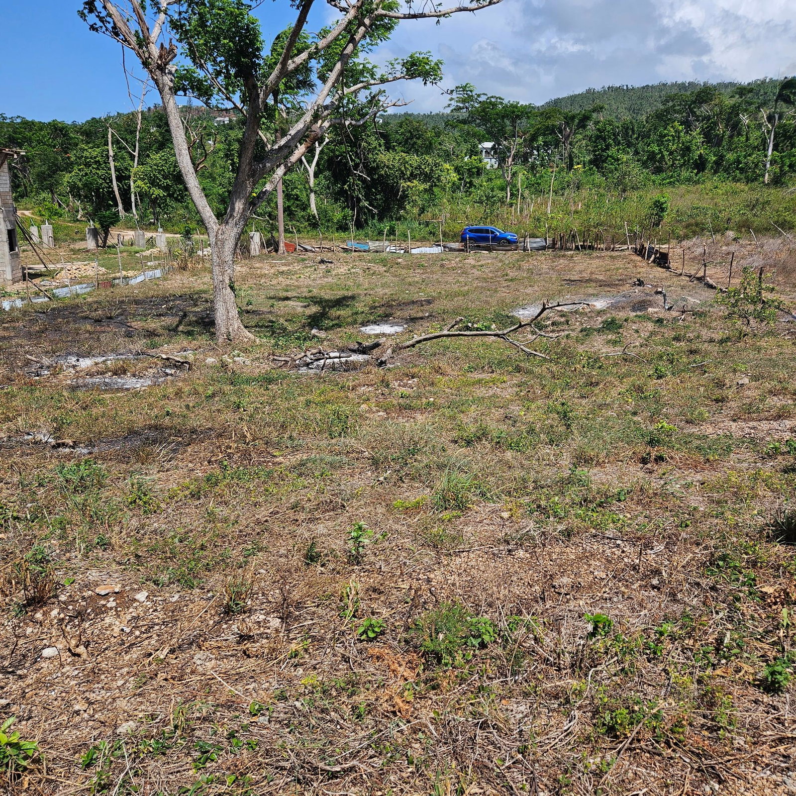 Third image of Lot-33 Cardiff Hall Plantation in Runaway Bay, St. Ann, Jamaica - property is For Sale