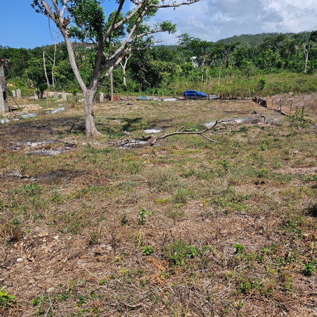Third image of Lot-33 Cardiff Hall Plantation in Runaway Bay, St. Ann, Jamaica - property is For Sale